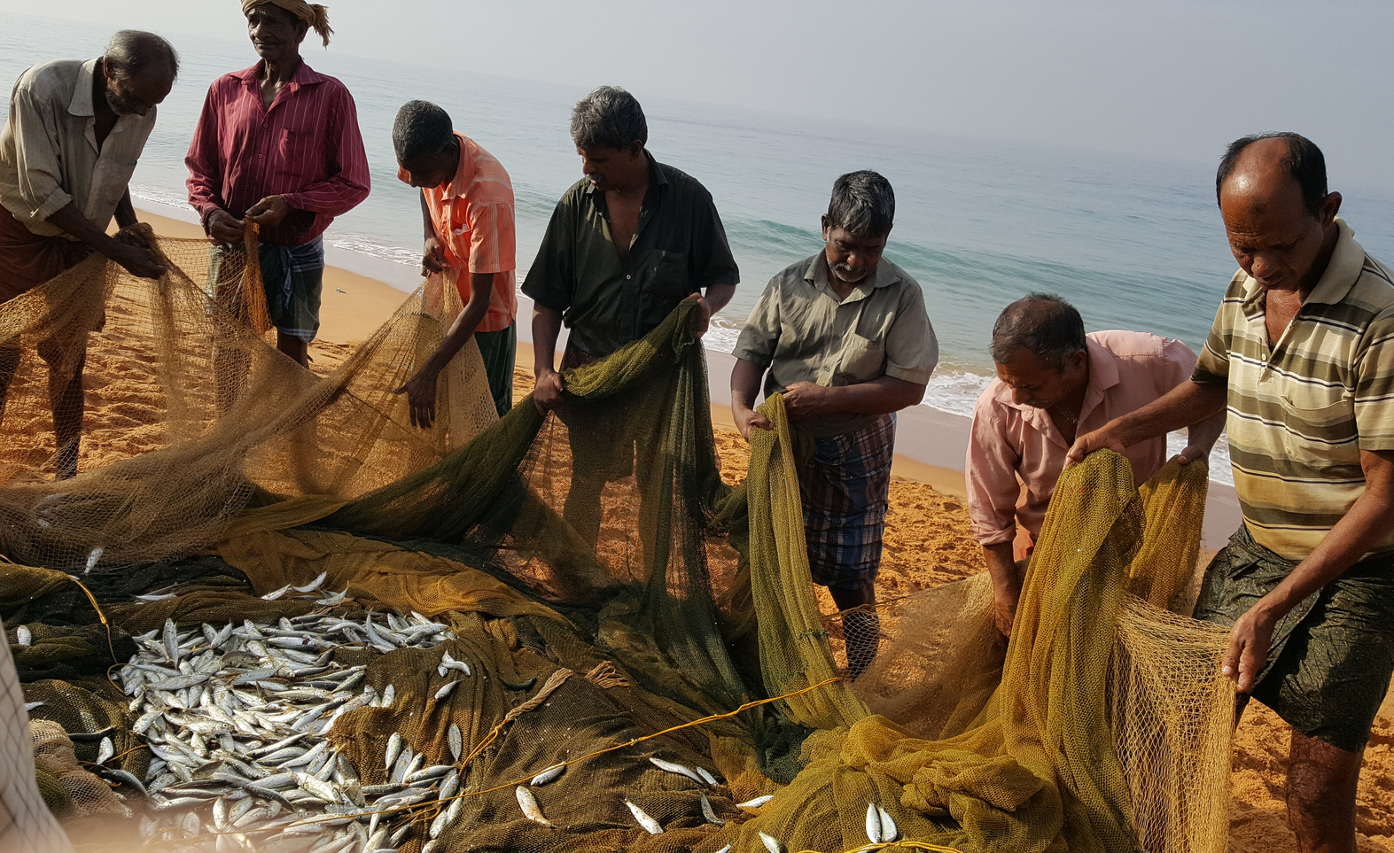 Is the Lower Fish Catch Along India's West Coast the Work of Climate  Change? – The Wire Science
