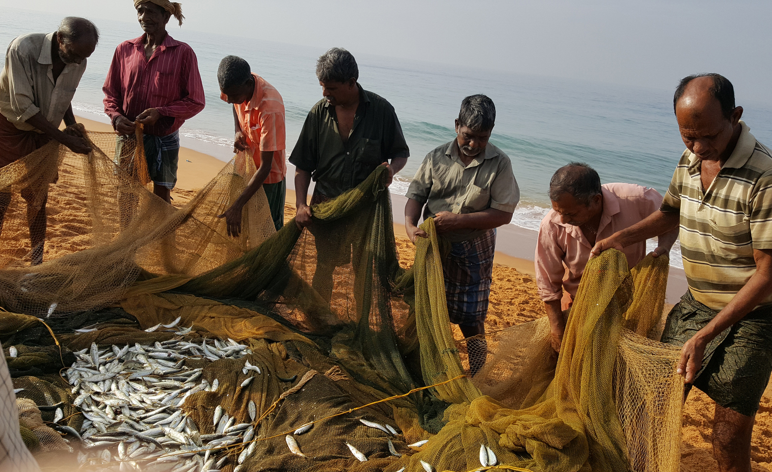A new US$2.7bn scheme looks to drive up fisheries in India