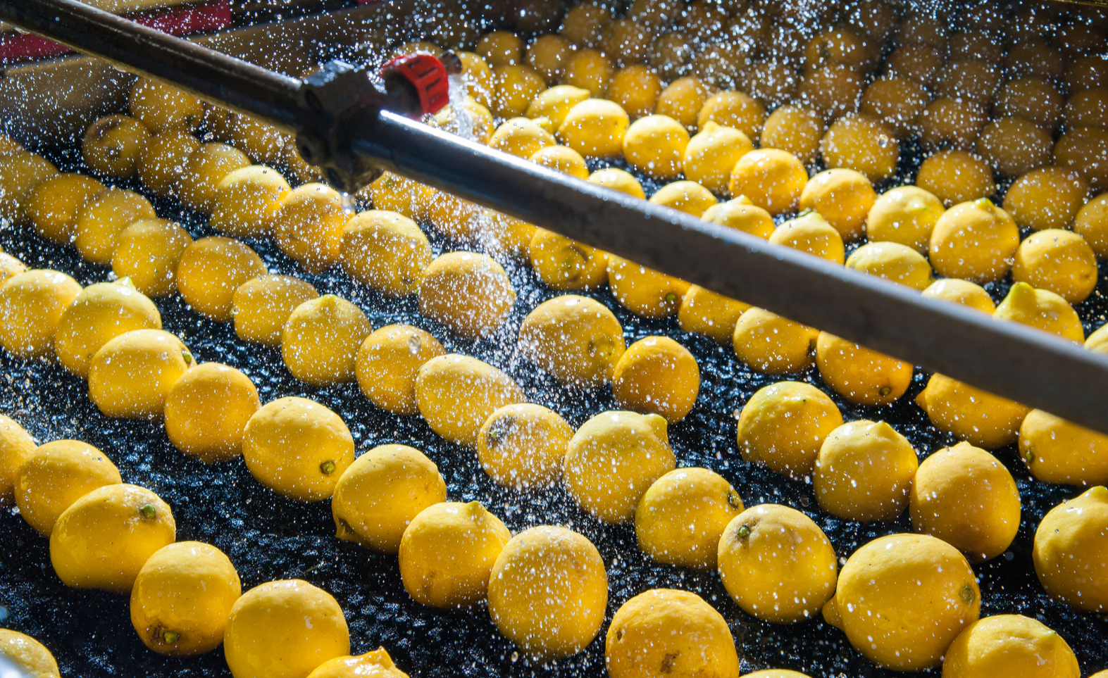 Micro food processing units get new policy support