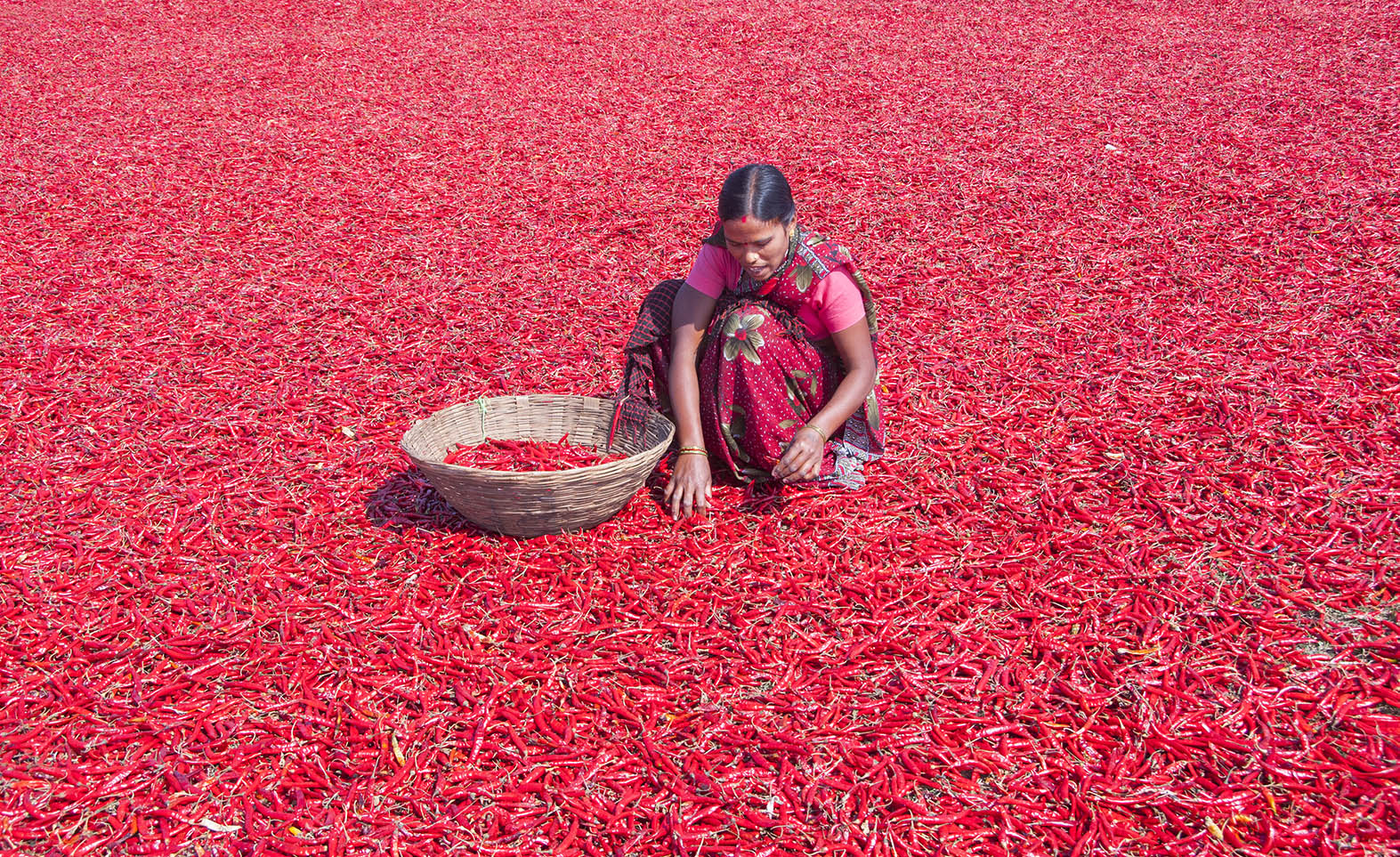 Indo-Italian Business Mission on Food Processing seeks new opportunities